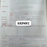 SKPWNI