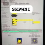 SKPWNI3
