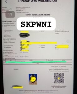 SKPWNI3